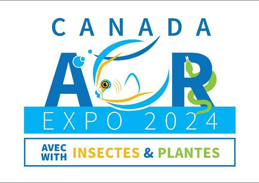 Salon ACR Expo Montréal - Akua Design 1 et 2 novembre 2024