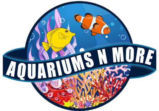 Nouveau dépositaire - Animalerie Aquarium N More