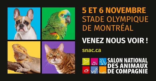 Salon National des Animaux de Compagnie Montréal - 2022