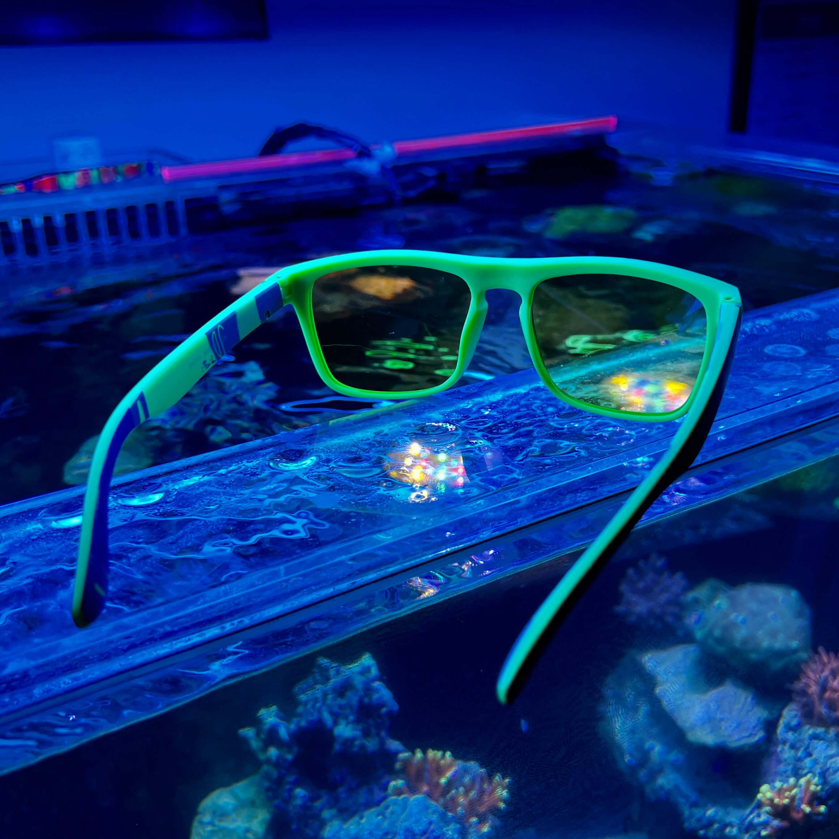 Coral Lens Glasses